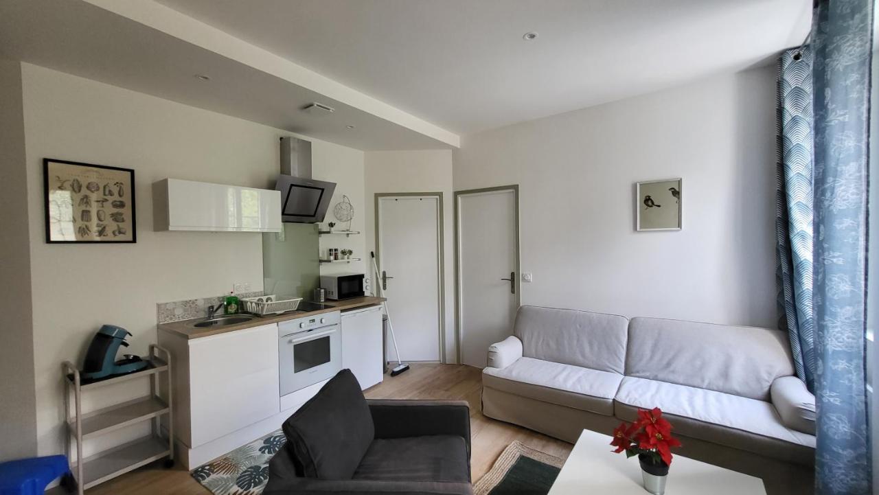 Charmant 2 Pieces Avec Terrasse Proche Centre Ville - Parking Gratuit A Proximite Lourdes Exterior foto